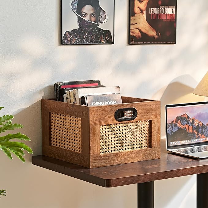LELELINKY 2 Pack Vinyl Record Storage Crates, Rattan Vinyl Record Holder with Handle, TeaC Record Crate for Vinyls Holder up to 75 LP's, Desktop Cube Album Storage for Vinyls Records