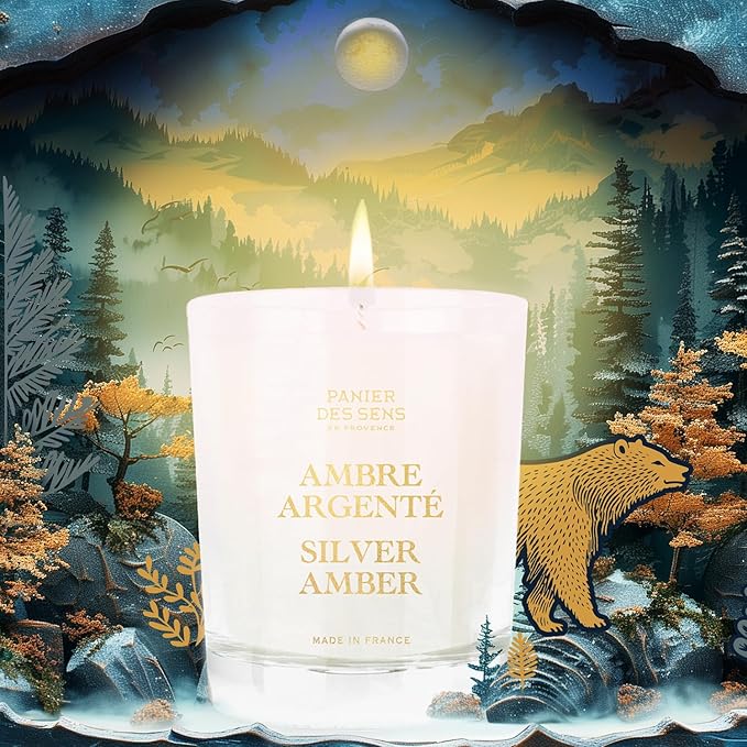 Panier des Sens - Winter Candle – Long Lasting Scented Candles for Home – Gift for Women – 100% Natural Cotton Wick – Decorative Candles Home Gifts (Silver Amber)