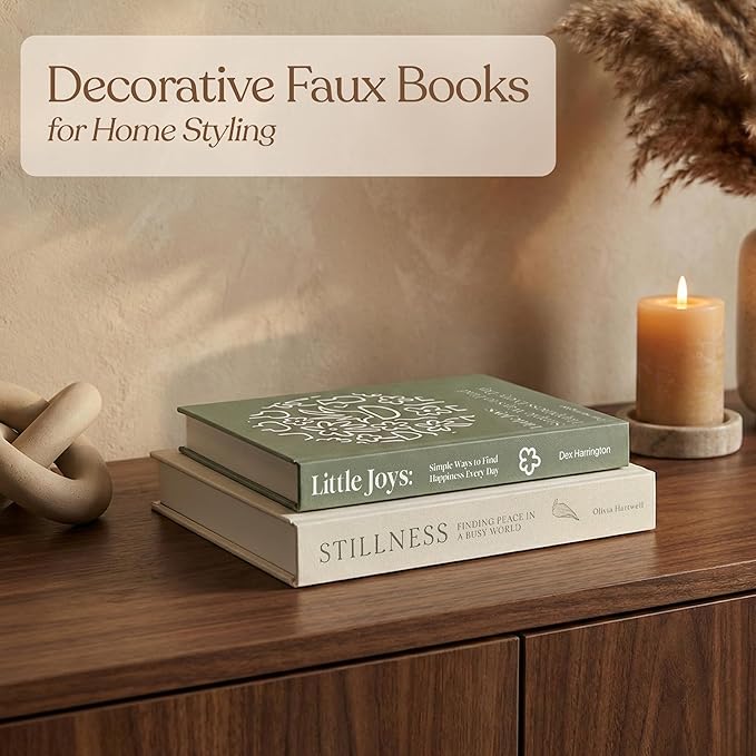 MESMOS Set of 2 Faux Decorative Books for Shelves, Living Room & Home Decors, Faux Books for Decoration, Decorative Coffee Table Book Decor, Book Decor Aesthetic, Coffee Table Box - Mindfulness Series