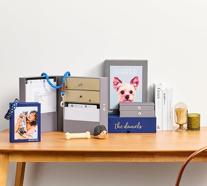 Savor | Pet Memorial Box for Dog, Cat, and Other Pets | Pet Loss Sympathy Gift and Keepsake Box for Vet Records, Tags, Collars, Toys, and More (Gray, Standard Style)