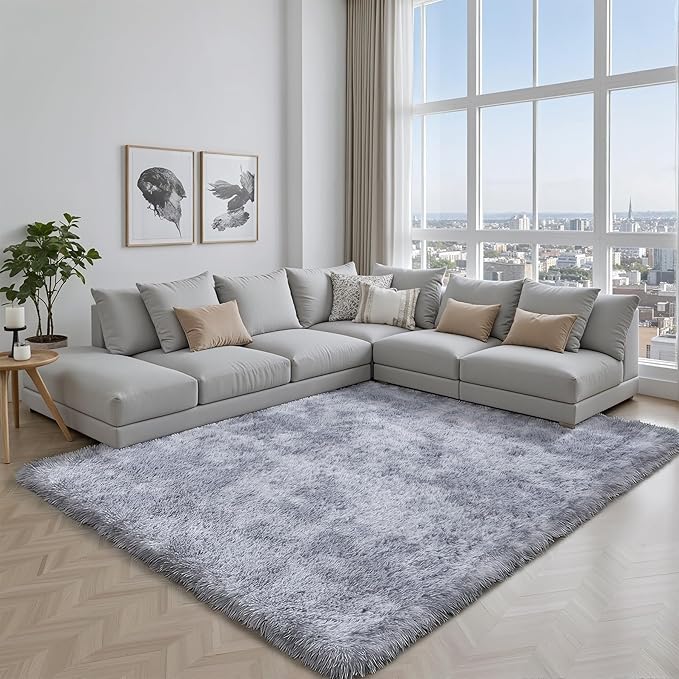 Area Rug for Living Room Bedroom: 5x7 Light Grey Soft Fluffy Shag Upgrade Non-Slip High Pile Carpet Large Fuzzy Plush Indoor Floor Decor Shaggy Rug for Kid Boys Girls Playroom Nursery Modern Home