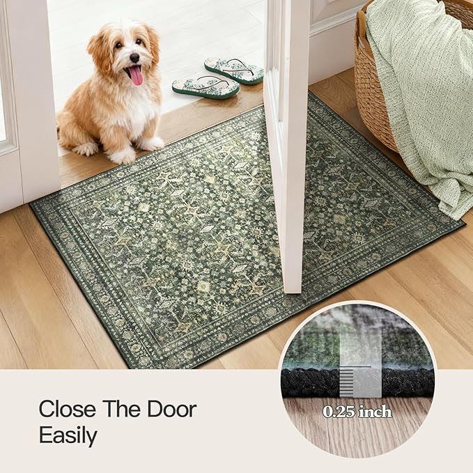 Lofus 2x4 Area Rug for Entryway Bathroom, Green Non Slip Washable Kitchen Mats for Floor, Soft Door Mat Indoor Entrance, Small Area Rugs, Farmhouse Carpet for Entry Living Room Bedroom
