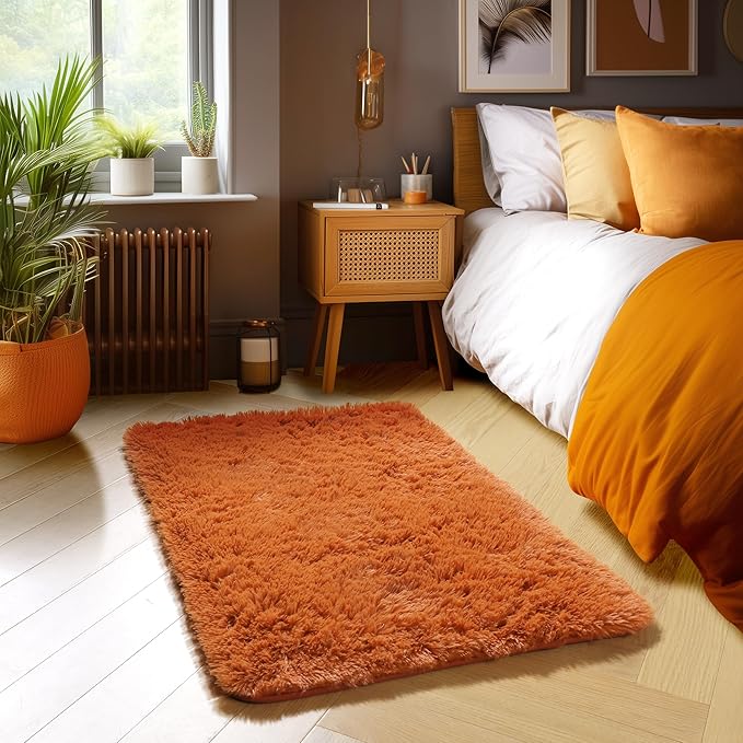 Amdrebio Burnt Orange 2x3 Small Area Rugs for Bedroom, Mini Fluffy Fuzzy Shaggy Furry Rug for Kids Room Decor Aesthetic, Cute Plush Shag Dark Orange Carpet for Door Entryway Nursery Dorm Classroom
