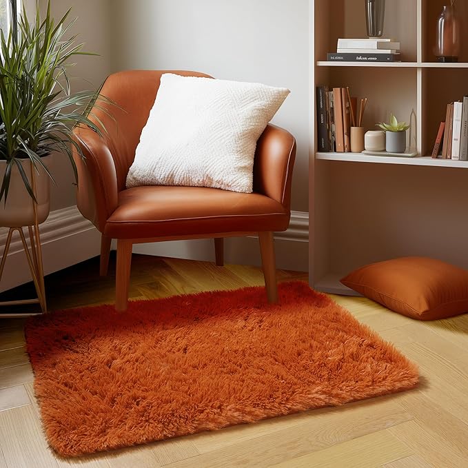 Amdrebio Burnt Orange 2x3 Small Area Rugs for Bedroom, Mini Fluffy Fuzzy Shaggy Furry Rug for Kids Room Decor Aesthetic, Cute Plush Shag Dark Orange Carpet for Door Entryway Nursery Dorm Classroom