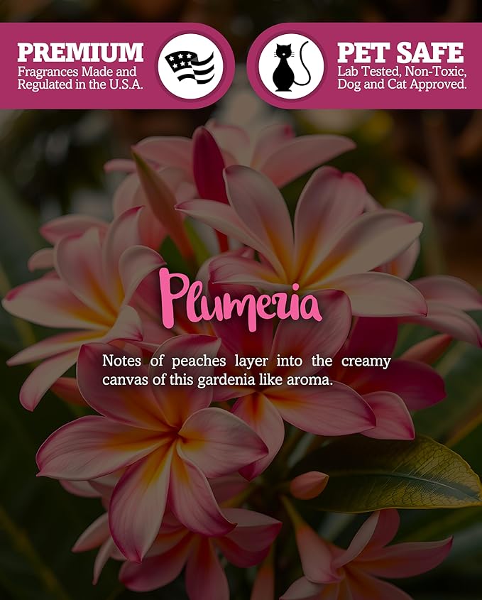 Shortie's Candle Company Pure Plumeria Premium Tealight Candles - 6 Pink Highly Scented Tea Lights - Beautiful Candlelight - Made in the USA - Flower & Floral Collection