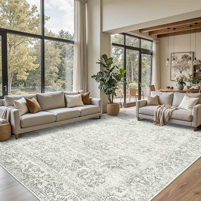 Rugxara Washable Area Rug for Living Room, Bedroom Kitchen