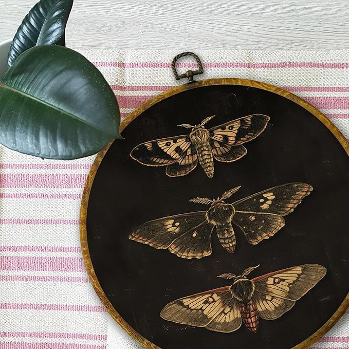 Mcehtle Vintage Butterfly Wall Art Decor, Dark Moody Cottagecore Moth Butterfly Framed Canvas Prints 10x10, Neutral Farmhouse Round Wall Hanging Artwork Decorations for Bedroom Living Room