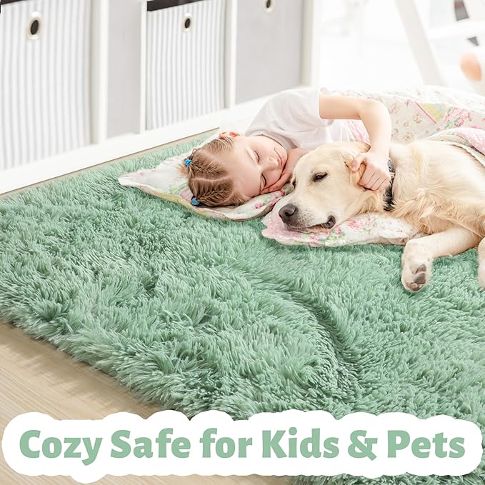 Sage Green Rugs for Bedroom Living Room Aesthetic, Fluffy Furry Area Rug 5x8 for Nursery, Classroom, Teen Boys, Baby Kids Room Decor, Cute Shaggy Carpet for Playroom Dorm, Fuzzy Plush Light Mint Rug