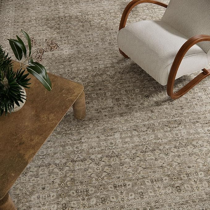 4x6 Washable Area Rugs for Entryway: Door Mat Indoor Entrance Throw Rug Non Slip Low Pile Kitchen Rug for Front Door Indoor Entrance Entry Kids Room