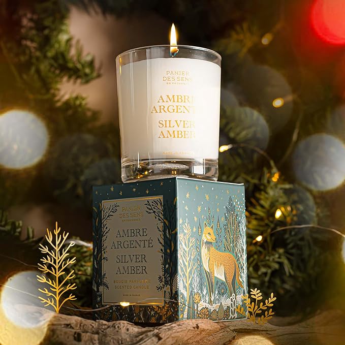Panier des Sens - Winter Candle – Long Lasting Scented Candles for Home – Gift for Women – 100% Natural Cotton Wick – Decorative Candles Home Gifts (Silver Amber)