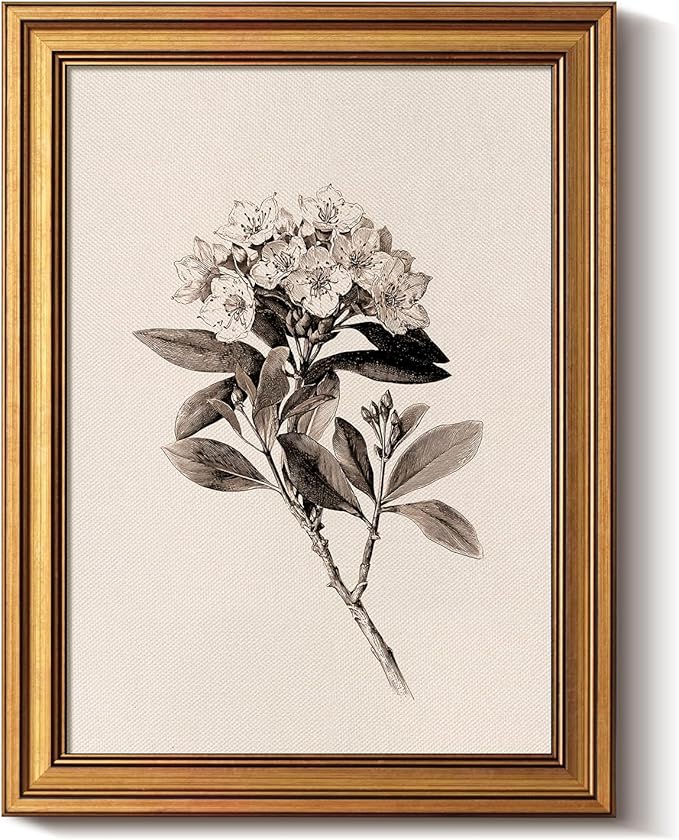Bzstyleart Vintage Wall Art Decor, Canvas Framed Flower Wall Art, Sketch Painting Picture Vintage Home Decor Aesthetic for Living Room, Bathroom Pictures, Pennsylvania Mountain Laurel, 12L x 16W