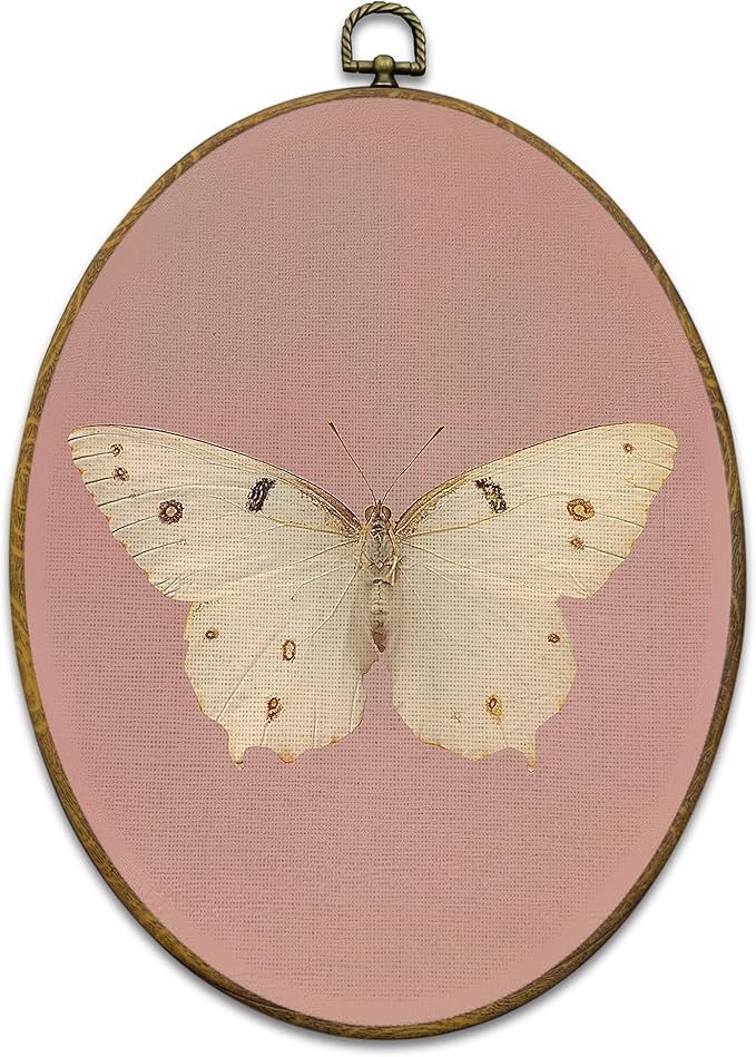 Mcehtle Vintage Butterfly Pink Wall Art Decor, Retro Cottagecore Butterfly Oval Framed Canvas Prints 8.6x11.4, Neutral Moody Farmhouse Wall Hanging Artwork Decorations for Girls Home Bedroom Living Room