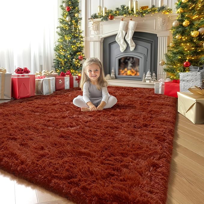 Amdrebio Terracotta Rust Area Rugs for Bedroom Living Room, 5x7 Fluffy Fuzzy Shaggy Furry Rug for Kids Room Decor Aesthetic, Modern Cute Plush Shag Rustic Carpet for Nursery Dorm Classroom Playroom