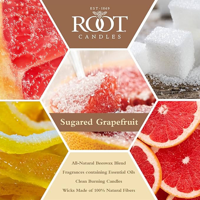Root Candles Scented Candles Honeycomb Beeswax Blend Premium Handcrafted Candle, Small Veriglass, Sugared Grapefruit