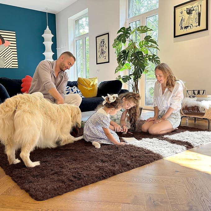 OLANLY 6x9 Machine Washable Large Area Rugs for Living Room, Bedroom, Soft Fluffy Shaggy Bedside Rug, Indoor Floor Carpet for Kids Girls and Boys, Dorms, Nursery, Home Decor Aesthetic, Coffee