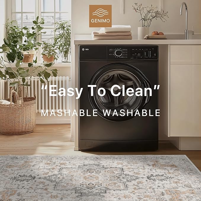 GENIMO Area Rug 32x48 inch Doormat, Machine Washable Low Pile Rugs, Small Retro Chenille Entryway Mat for Entrance, Hallway, Kitchen and Corridor, Light Taupe Brown