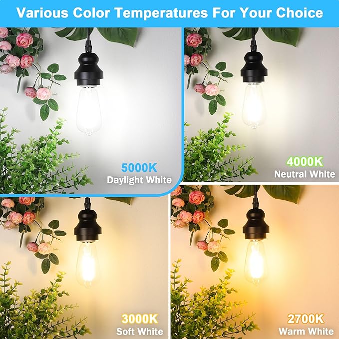 ASOMST 4-Pack Vintage Edison LED Bulbs, 60W Equivalent, 850LM 6W Edison Light Bulb Daylight White 5000K, ST58 LED Filament Bulb E26 Base, Non-Dimmable