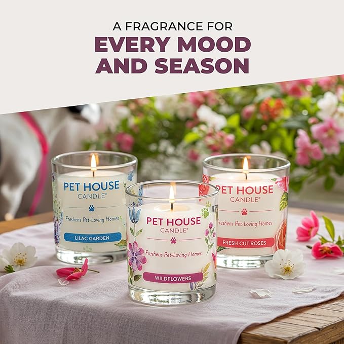 One Fur All Pet Candle 9 OZ Plant-Based Spring Candle with a 60 Hour Burn Time - BlackBerry Tea