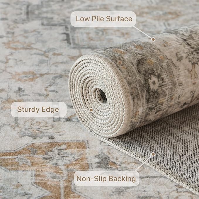 GENIMO Area Rug 32x48 inch Doormat, Machine Washable Low Pile Rugs, Small Retro Chenille Entryway Mat for Entrance, Hallway, Kitchen and Corridor, Light Taupe Brown