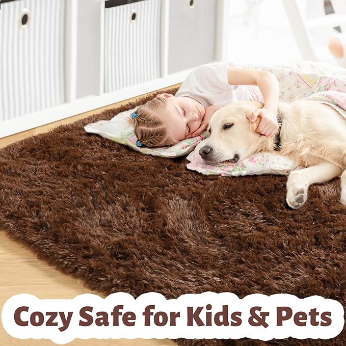 Amdrebio Dark Brown Area Rugs for Bedroom Living Room, Fluffy Shaggy Plush 4x6 Rug for Kids Room Decor Aesthetic, Modern Cool Fuzzy Furry Chocolate Coffee Carpet for Classroom Playroom Dorm Nursery