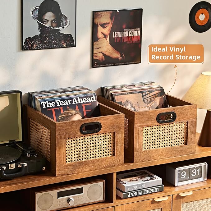 LELELINKY 2 Pack Vinyl Record Storage Crates, Rattan Vinyl Record Holder with Handle, TeaC Record Crate for Vinyls Holder up to 75 LP's, Desktop Cube Album Storage for Vinyls Records