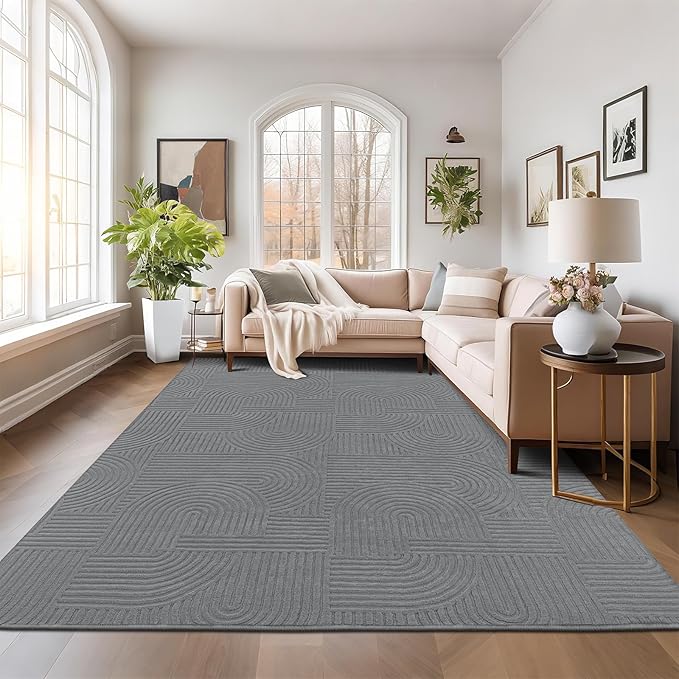 Pauwer 9x12 Washable Area Rugs for Living Room Modern Grey Solid Color Soft Fluffy Rugs for Bedroom Non Slip Boho Accent Indoor Mat Floor Carpet Cover for Kids Room Dining Room Kitchen Office