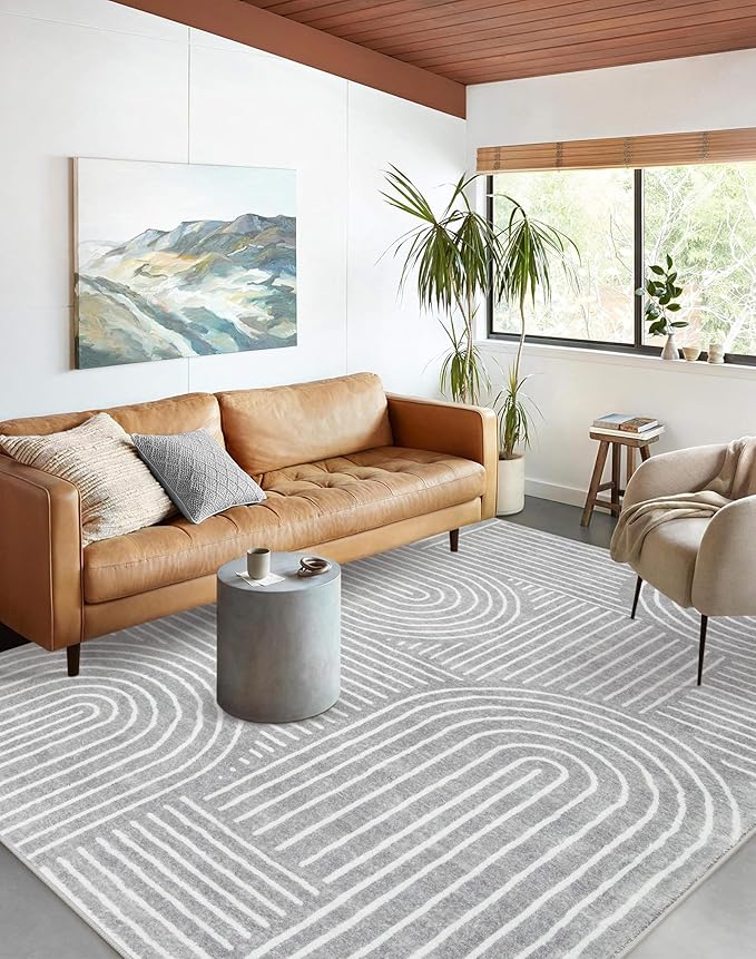 Lahome Abstract Area Rug 5x7,Soft Washable Rugs for Living Room Ultra-Thin Non Slip Gray Rugs for Bedroom, Throw Rug Carpet for Dining Room Office Playroom Darrell (5'x7',Gray)