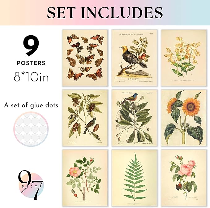 97 Decor Vintage Botanical Wall Art Decor - Plant Posters For Room Aesthetic, Vintage Botanical Prints Nature Wall Decor, Floral Pictures Butterfly Bird Art For Home Bedroom Decoration (8x10 Unframed)