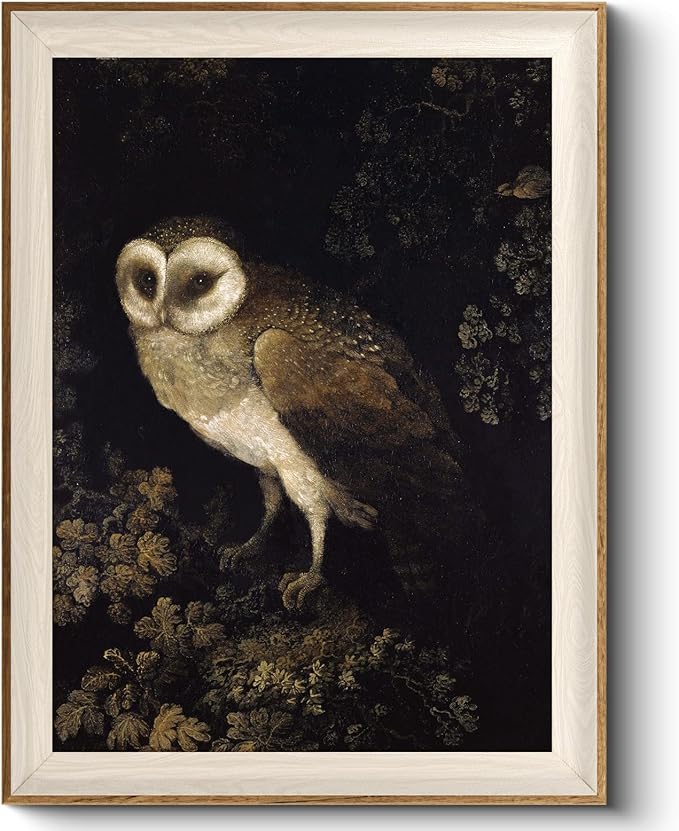 VIYYIEA Framed Wall Art for Living Room, Owl Canvas Prints, Vintage Home Decor, Animals Painting Picture, Bathroom Wall Decor Gifts for Friends or Family - 16L x 12W