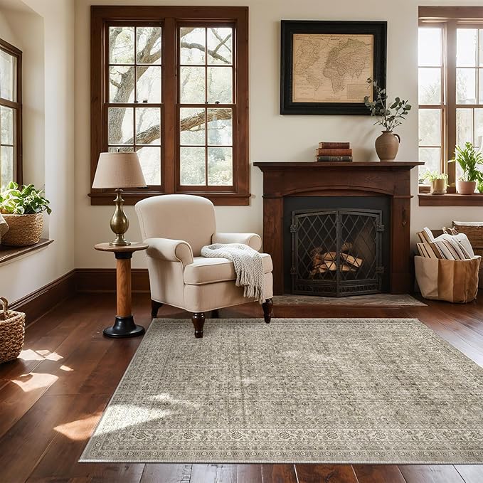 4x6 Washable Area Rugs for Entryway: Door Mat Indoor Entrance Throw Rug Non Slip Low Pile Kitchen Rug for Front Door Indoor Entrance Entry Kids Room