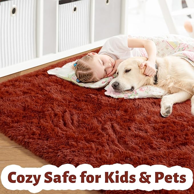 Amdrebio Terracotta Rust Area Rugs for Bedroom Kids Room, Fluffy Fuzzy Shaggy Furry Small Rug 3x5 for Living Room Decor Aesthetic, Cute Plush Shag Rustic Carpet for Dorm Nursery Classroom Playroom