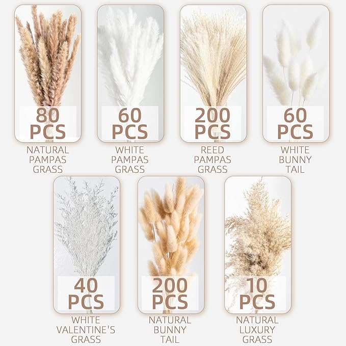 650PCS Natural Dried Pampas Grass Boho Home Decor Bouquet Phragmites Dried Flowers Bouquet for Wedding Floral Arrangements Home Decorations (650PCS)