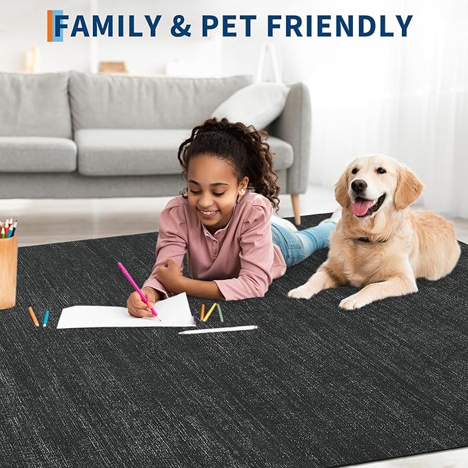 9x12 Area Rugs for Living Room Washable Solid Large Bedroom Rugs Non Slip Soft Modern Abstract Dining Room Throw Carpet Minimalist Classic Plain Area Rug for Nursery Kitchen Home Office, Black 9'x12'
