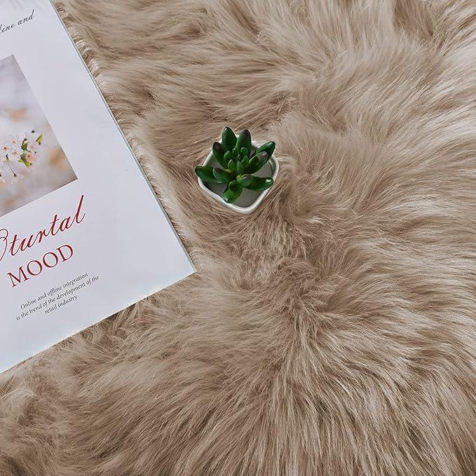 Latepis Washable 3x4 Light Brown Sheepskin Fluffy Shag Plush Faux Fur Rug for Living Room Bedroom Dorm Room Throw Rectangle