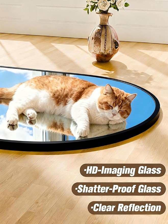SUNQUEEN 59"x16" Floor Mirror Full Length, Arched Full Length Mirror with Stand, Full Body Mirrors for Bedroom Living Room or Cloakroom Black