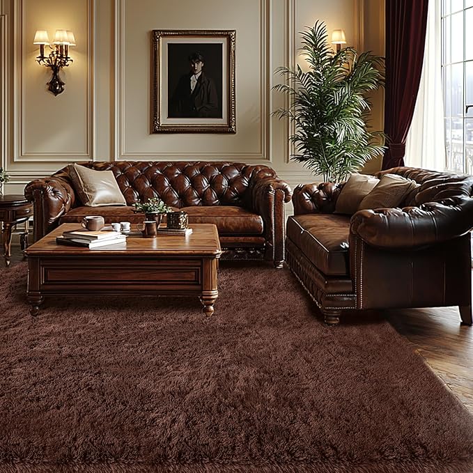 Fluffy Brown Bedroom Area Rug: Ultra Fluffy Non-Slip Floor Carpet for Bedroom Living Room Nursery Playroom, Soft Shaggy Rug Home Decor (Brown 5x7 Feet)