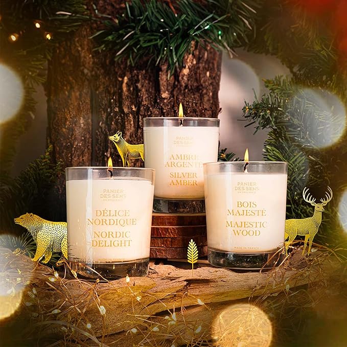 Panier des Sens - Winter Candle – Long Lasting Scented Candles for Home – Gift for Women – 100% Natural Cotton Wick – Decorative Candles Home Gifts (Silver Amber)