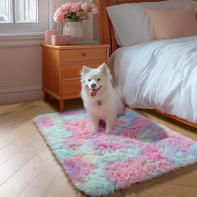 Amdrebio Rainbow 2x3 Small Area Rugs for Girls Bedroom Kids Room Decor, Pastel Colorful Rug for Playroom Preppy Dorm, Cute Unicorn Shaggy Rug for Baby Princess, Kawaii Fluffy Plush Carpet for Nursery