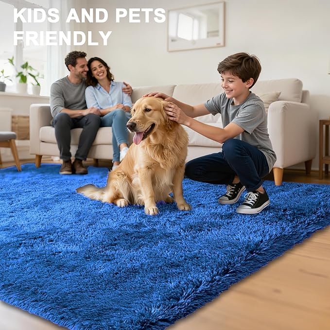 Fluffy Area Rugs for Bedroom - Soft Plush Shag Rug for Living Room Nursery Kids Room - Non Slip Fuzzy Shaggy Floor Carpets for Girls Boys Play Room Dorm Decor (Blue, 3' x 5')