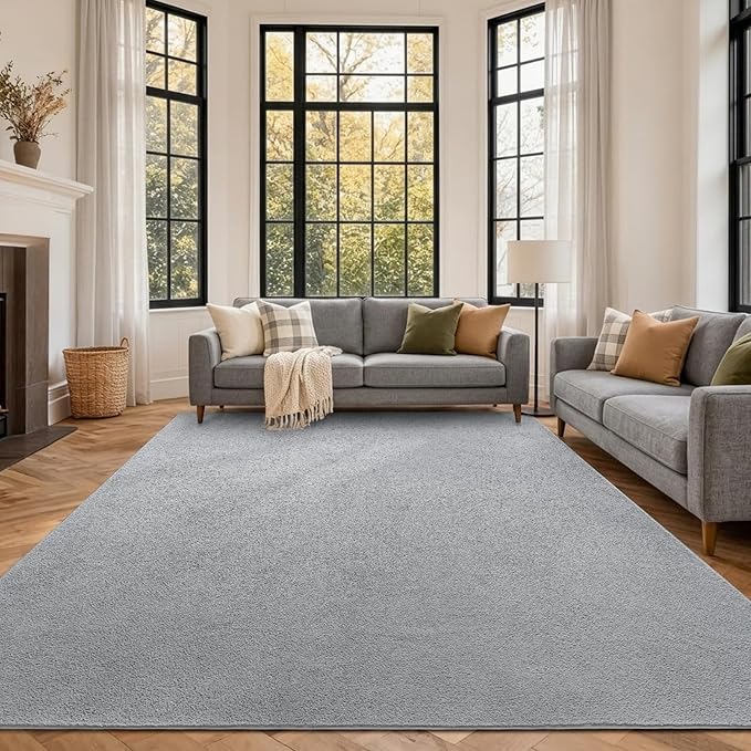 FinRèc 6x9 Washable Area Rugs for Bedroom Living Room, Low Pile Thin Rug Solid Color, Non-Slip Carpet Indoor for Home Decor (Pure Light Grey)