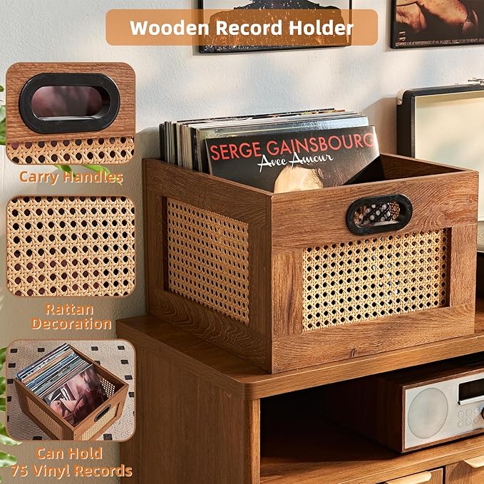 LELELINKY 2 Pack Vinyl Record Storage Crates, Rattan Vinyl Record Holder with Handle, TeaC Record Crate for Vinyls Holder up to 75 LP's, Desktop Cube Album Storage for Vinyls Records