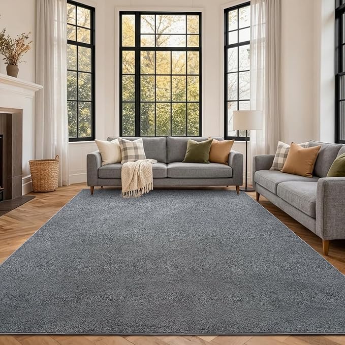 FinRèc 6x9 Washable Area Rugs for Bedroom Living Room, Low Pile Thin Rug Solid Color, Non-Slip Carpet Indoor for Home Decor (Pure Dark Grey)