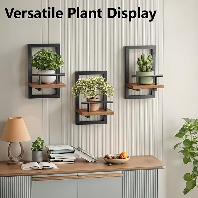 Sbosbo bosbo Floating Shelves for Wall, Plant Shelf Indoor, Wall Planters for Indoor Floating Plant Shelves for Bedroom, Living Room, Kitchen, Office, Bathroom Decor (3 Pack)