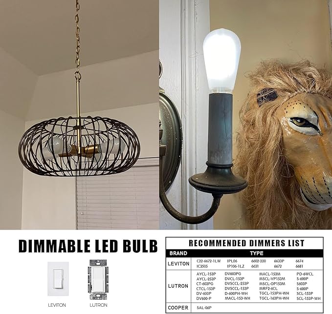 E26 Frosted LED Edison Bulbs, Daylight White 5000K,8W Equivalent 75W Light Bulb,850LM,AC120V, ST58 Vintage Edison Bulbs,Dimmable Antique LED Filament Bulbs, Pack of 6