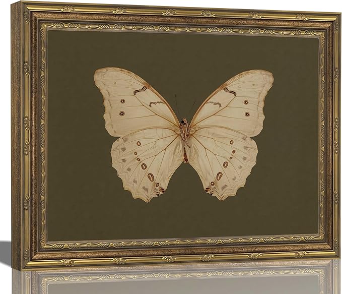 Vintage Gold Framed Wall Art Classical White Butterfly Wall Art Small Moody Insect Green Wall Decor Picture Antique Cottagecore Moth Gallery Aesthetic Poster Print for Living Room Bedroom 12x16in