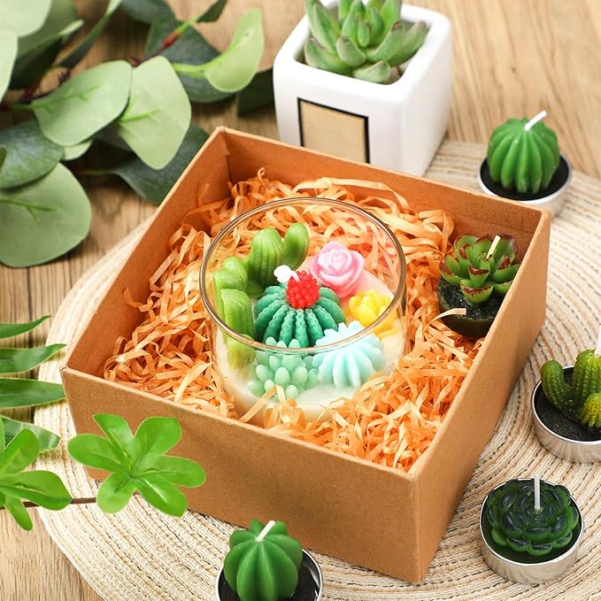 Tondiamo Succulent Cactus Candles Gift, 3.15 Inch Scented Decorative Terrarium Plant Candles Votive for House Warming Wedding Baby Shower Spa Home Decoration Christmas Gifts, Pastel
