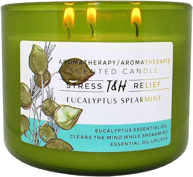 Eucalyptus Spearmint Scented Candle | 15.8 oz Large 3 Wick Soy Candle | Soothing Aromatherapy Candle for Home | Fresh Spa Scent | Long Lasting Clean Burn | Relaxation & Yoga Gift for Women & Men