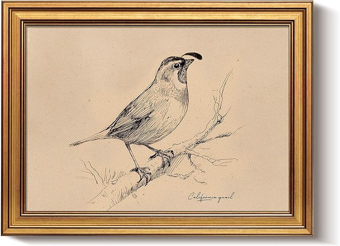 Bzstyleart Vintage Wall Art Decor for Living Room, Vintage Gold Framed Wall Art California State Bird, Framed Sketch Painting, Room Decor Aesthetic, Canvas Prints for Apartment Office, 12L x 16W