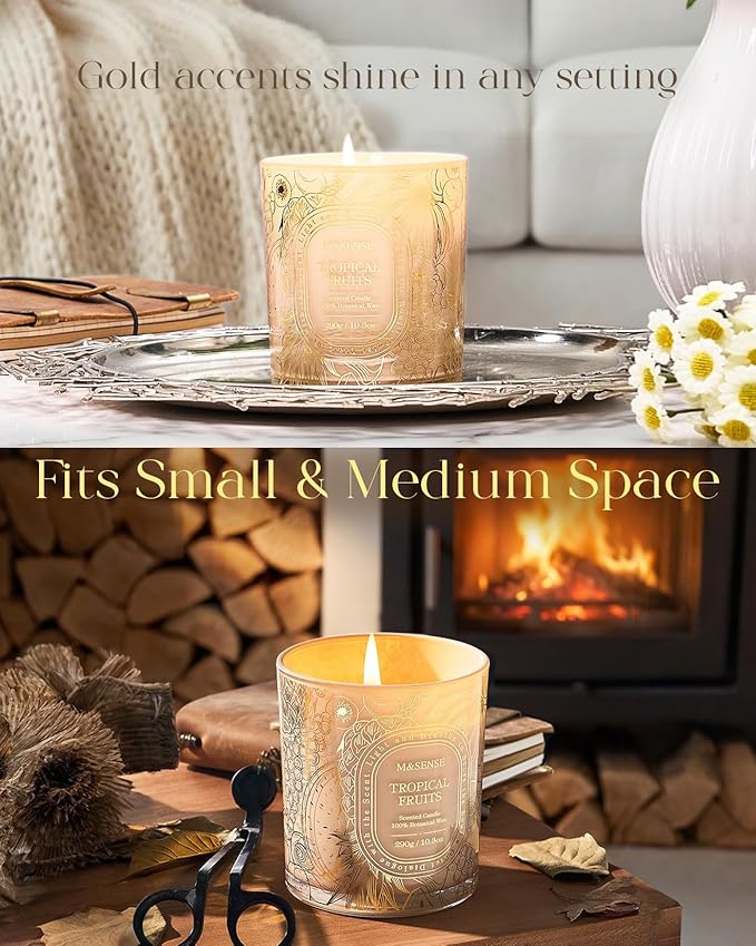 M&SENSE Fruit Party Scented Candle, Clean-Burning Soy Wax Candles for Home Scented, Berry Citrus Burst for Home Fragrance, 55 Hour Long Burning 10.3oz, Party Romantic Home Decor for Womens
