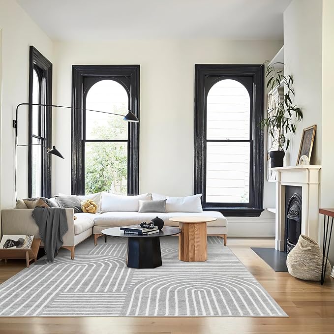 Lahome Abstract Area Rug 6x9, Soft Washable Rug for Living Room Ultra-Thin Non Slip, Modern Grey Rug Throw Carpet for Bedroom Dining Room Office Darrell (6'x9',Gray)